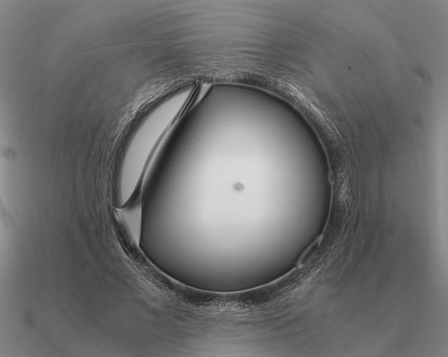 X0000090600685200708071143