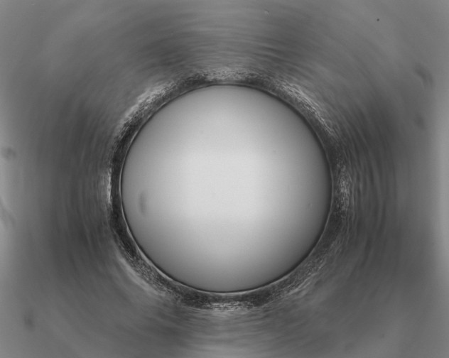 X0000090600686200708071143