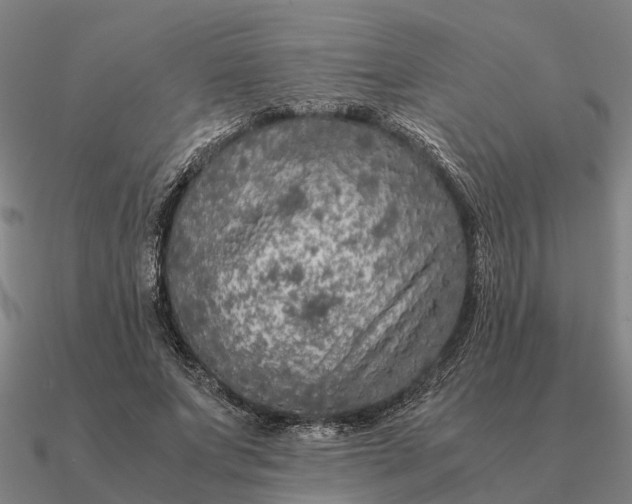 X0000090600687200708071143