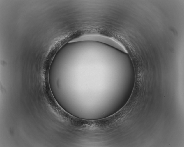 X0000090600688200708071143