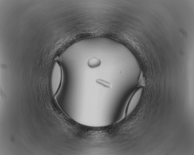 X0000090600689200708071143