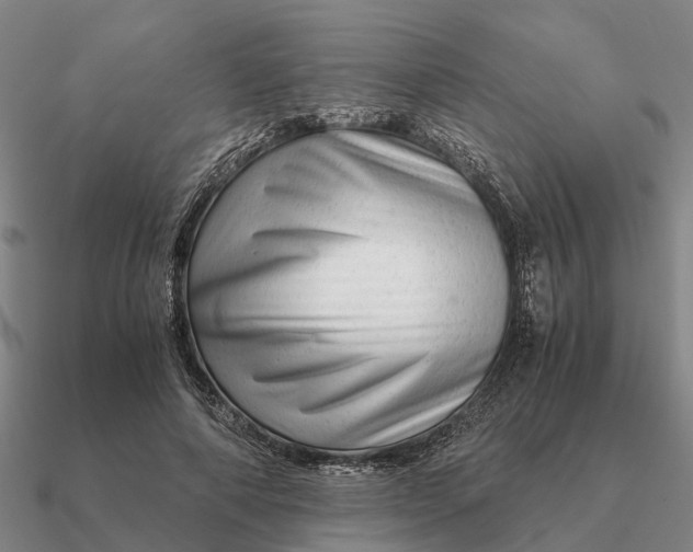 X0000090600690200708071143