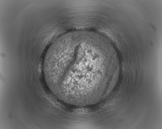 X0000090600691200708071143