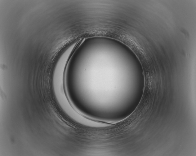 X0000090600692200708071143