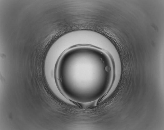 X0000090600693200708071143