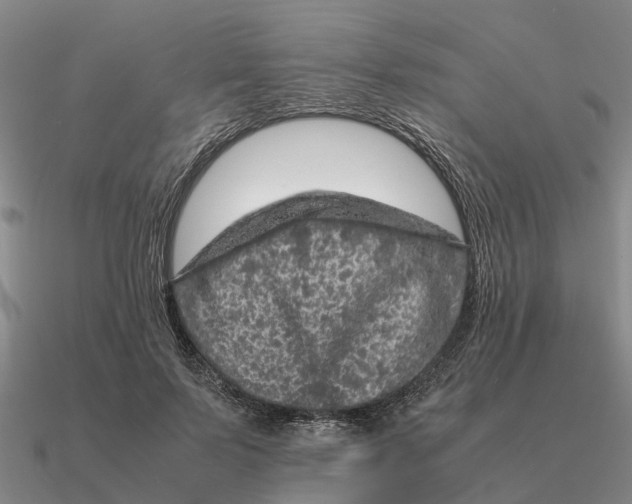 X0000090600695200708071143