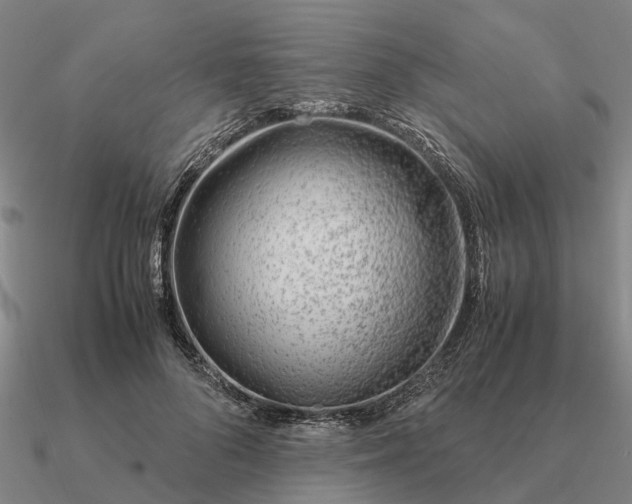 X0000090600696200708071143