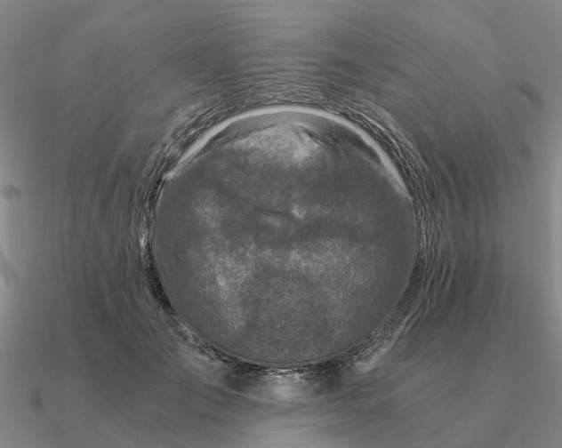 X0000090600701200708071143