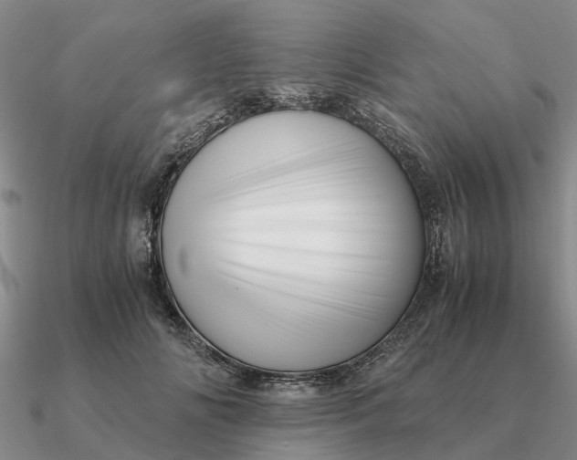 X0000090600702200708071143