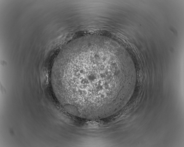 X0000090600703200708071143