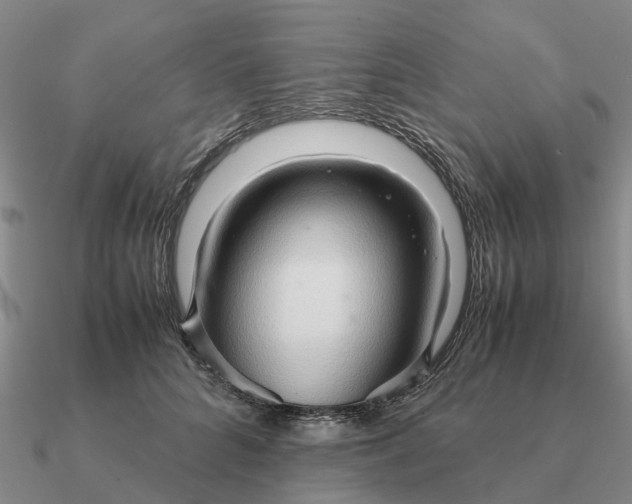 X0000090600704200708071143