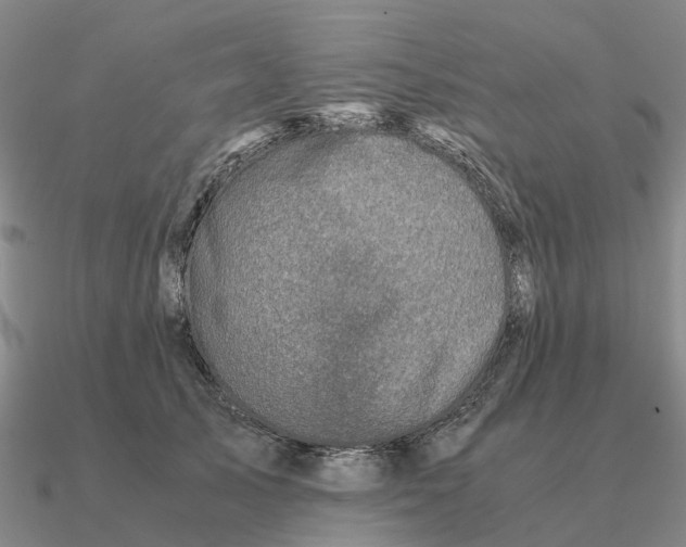 X0000090600705200708071143