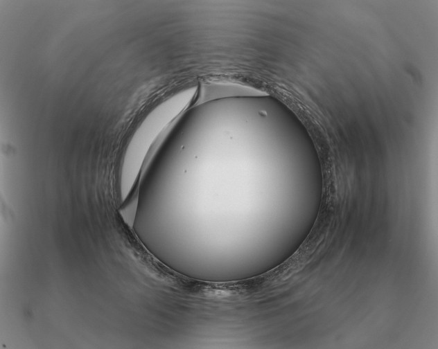 X0000090600706200708071143