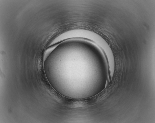 X0000090600708200708071143