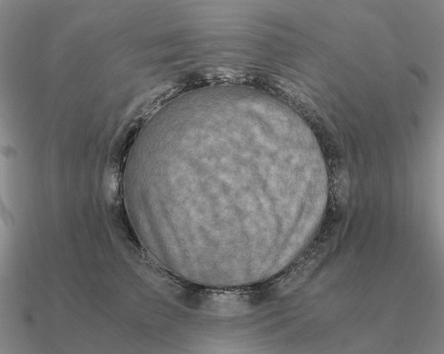 X0000090600709200708071143