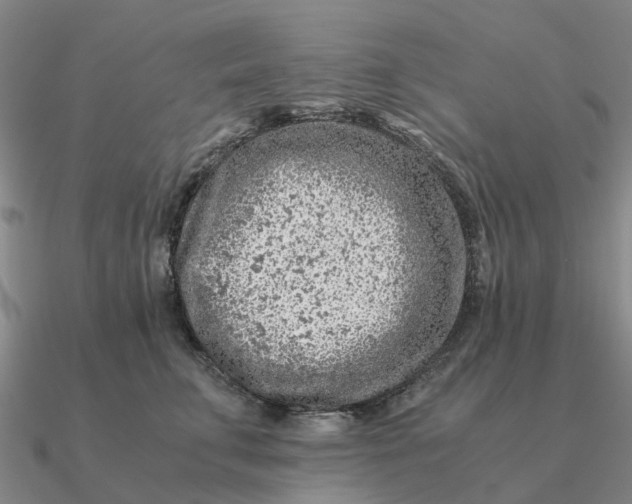 X0000090600711200708071143