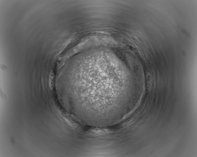 X0000090600712200708071143