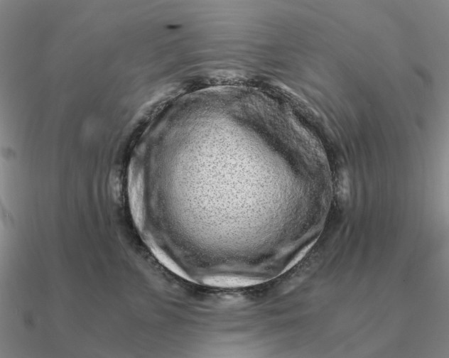 X0000090600715200708071142