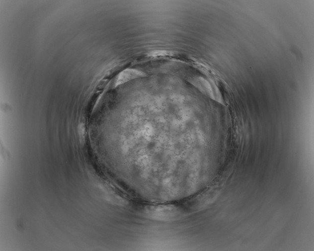 X0000090600716200708071142