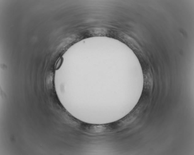 X0000090600717200708071142