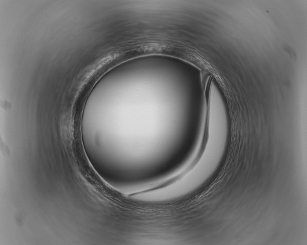 X0000090600722200708071142