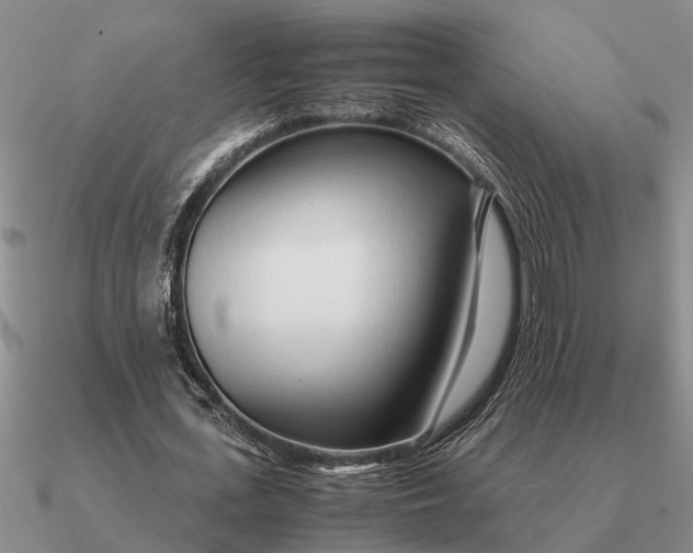 X0000090600723200708071142