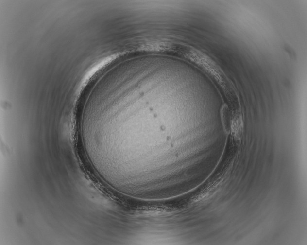 X0000090600724200708071142