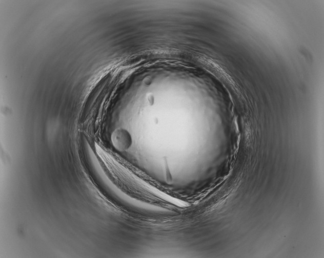 X0000090600725200708071142