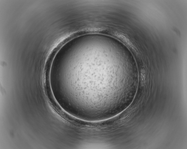 X0000090600726200708071142