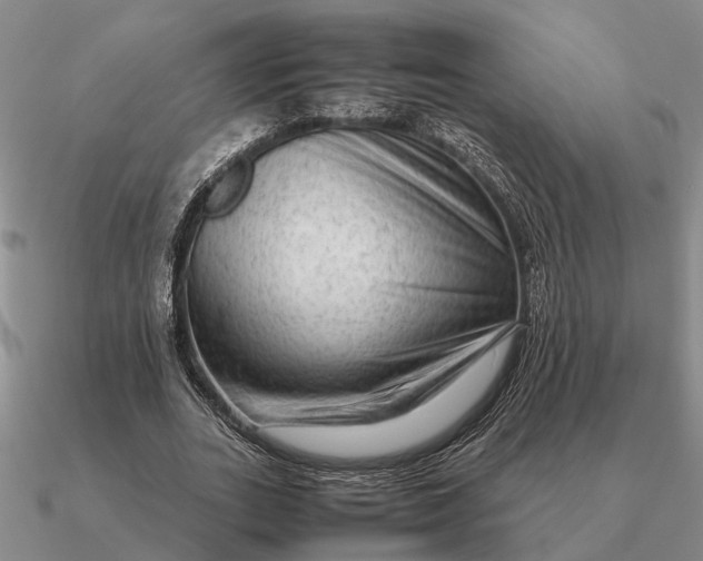 X0000090600727200708071142