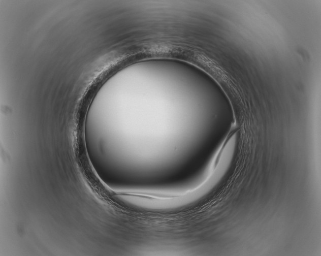 X0000090600728200708071142