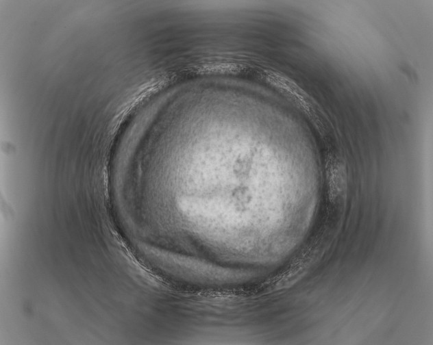 X0000090600729200708071142