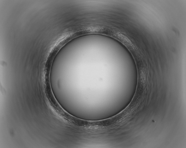 X0000090600730200708071142