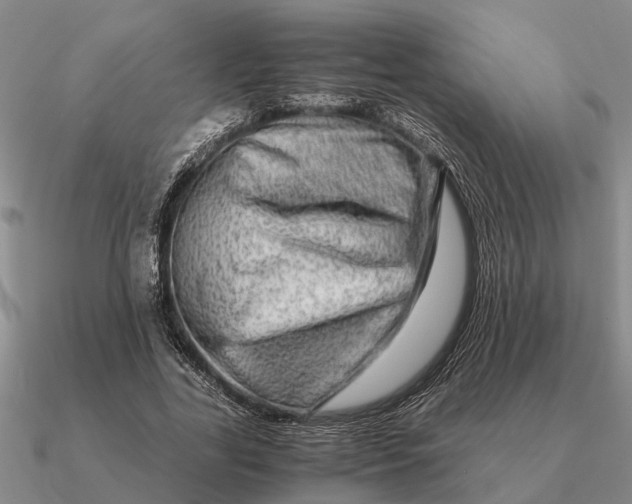 X0000090600731200708071142