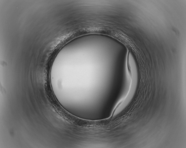 X0000090600732200708071142