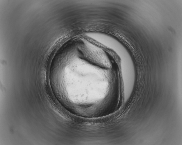 X0000090600733200708071142