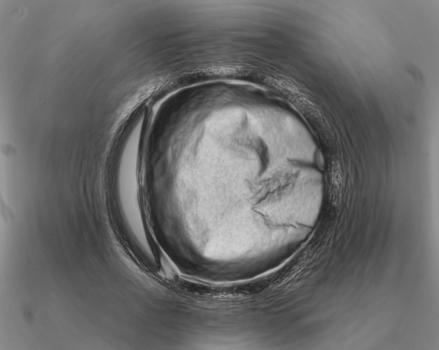 X0000090600734200708071142