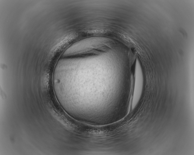 X0000090600735200708071142