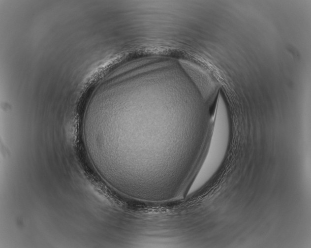 X0000090600736200708071142