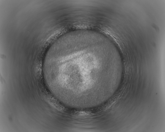 X0000090600737200708071142