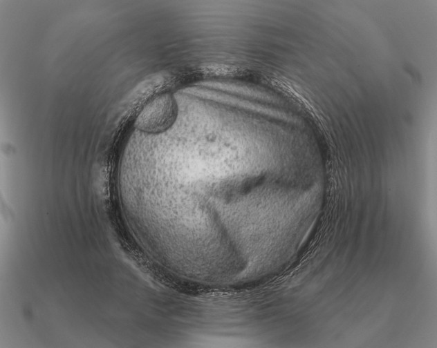 X0000090600738200708071142