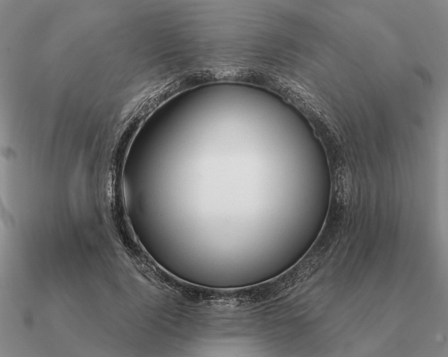 X0000090600740200708071142