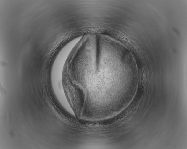 X0000090600742200708071142