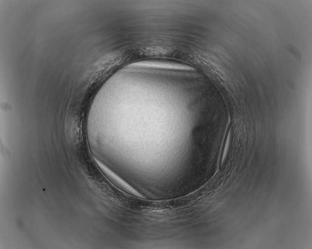 X0000090600743200708071142