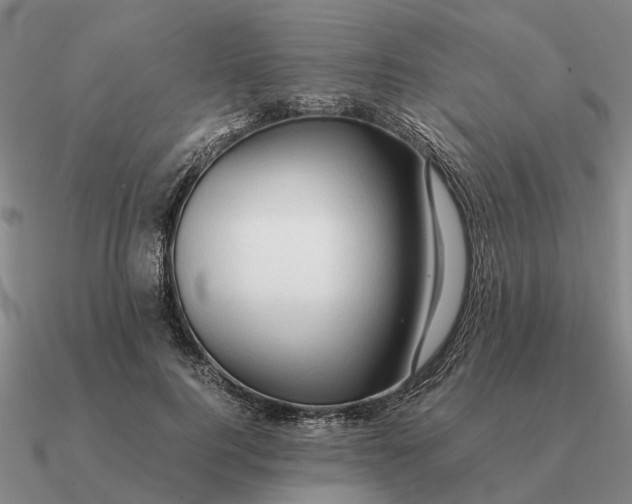 X0000090600744200708071142