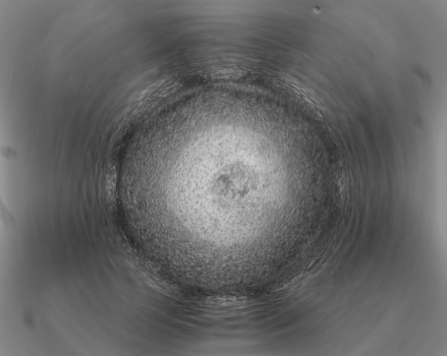 X0000090600745200708071142