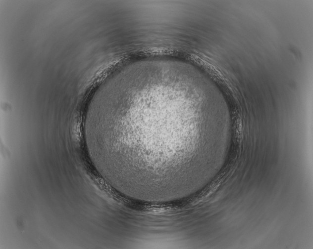 X0000090600746200708071142