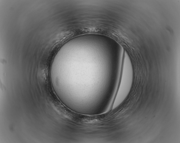 X0000090600747200708071142