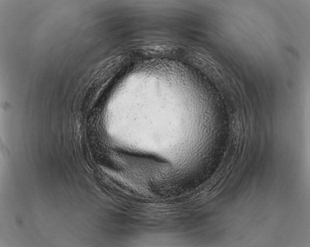 X0000090600749200708071142