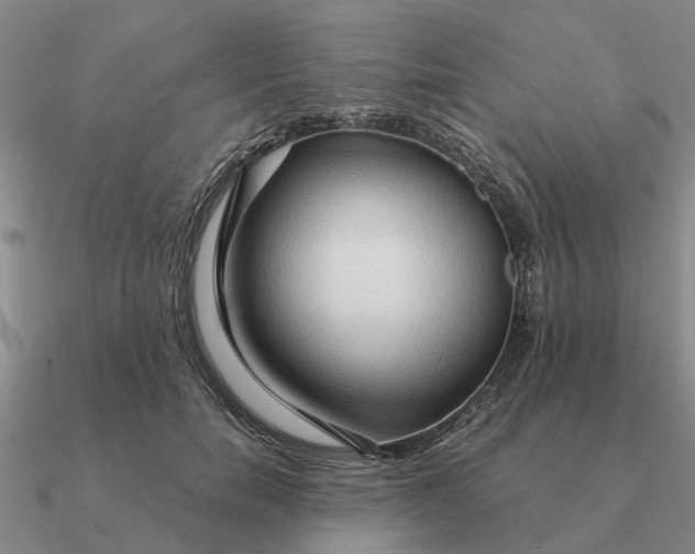 X0000090600750200708071142